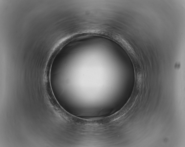 X0000096390628200802071538
