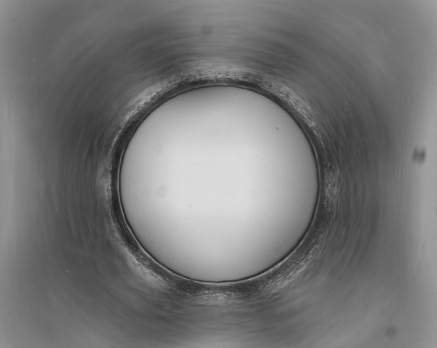 X0000096390629200802071538