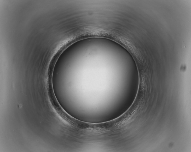 X0000096390630200802071538