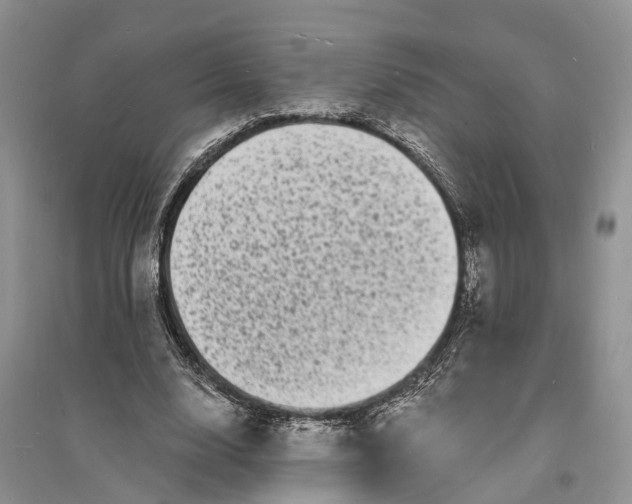X0000096390632200802071538