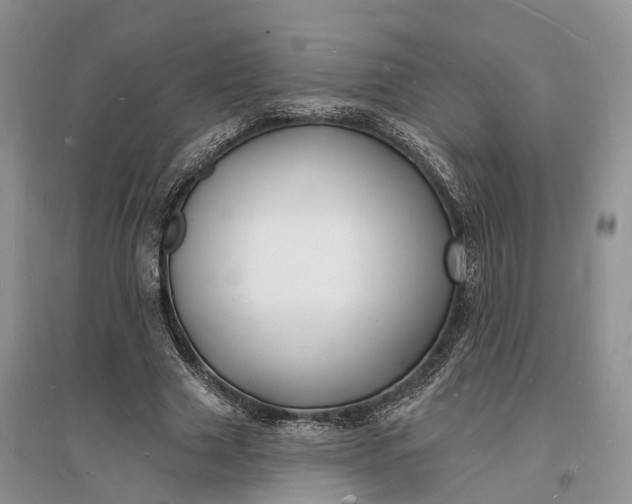X0000096390633200802071538