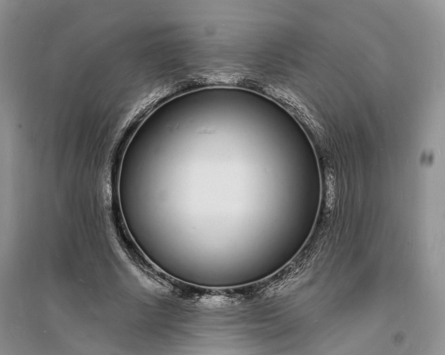 X0000096390634200802071538
