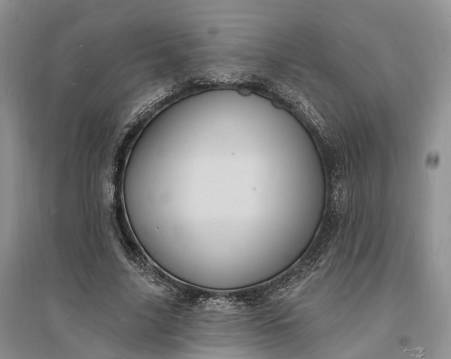 X0000096390635200802071538
