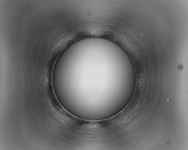 X0000096390639200802071538