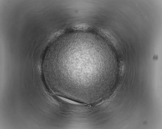 X0000096390641200802071538
