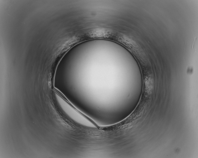 X0000096390642200802071538