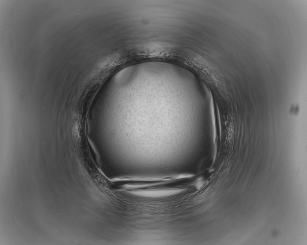 X0000096390643200802071538