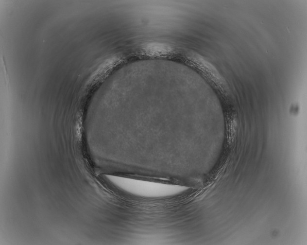 X0000096390644200802071538