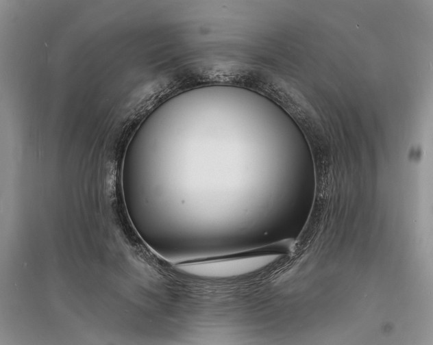 X0000096390646200802071538