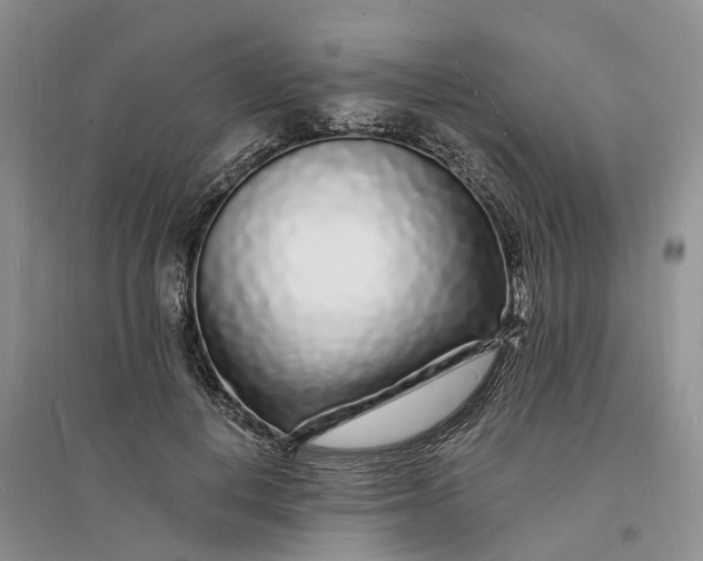 X0000096390648200802071538