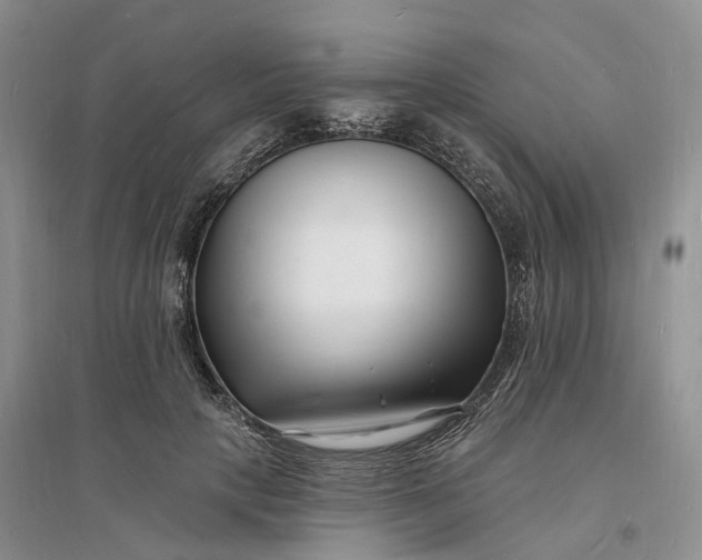 X0000096390649200802071538