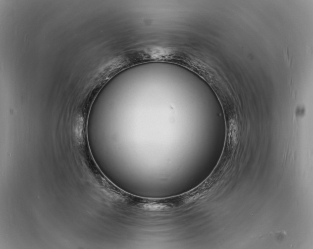 X0000096390650200802071538