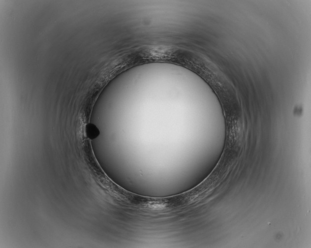 X0000096390651200802071538