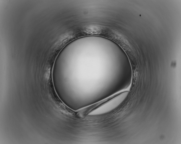 X0000096390652200802071538