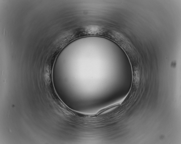 X0000096390653200802071538