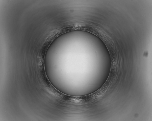 X0000096390654200802071538