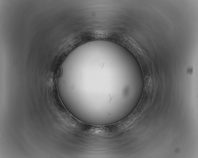 X0000096390655200802071538