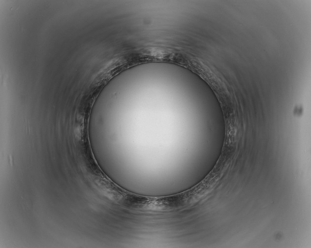 X0000096390656200802071538