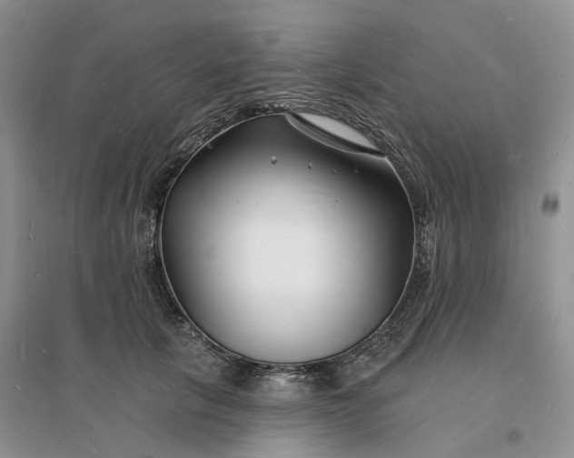 X0000096390657200802071538