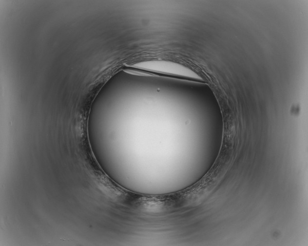 X0000096390658200802071538