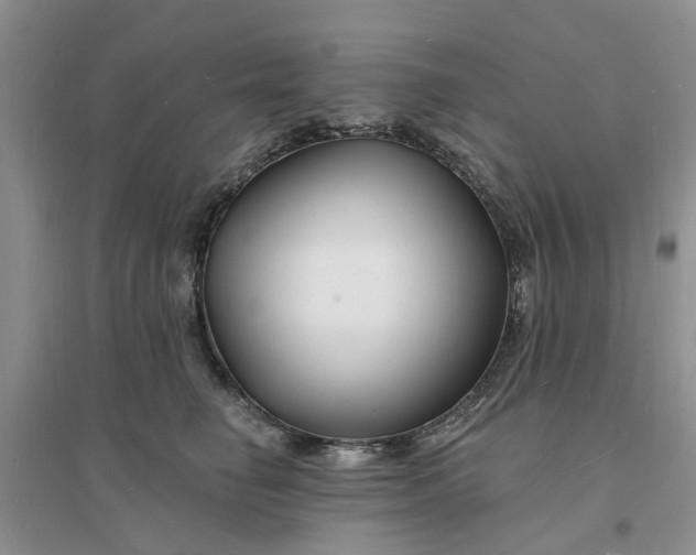 X0000096390662200802071538