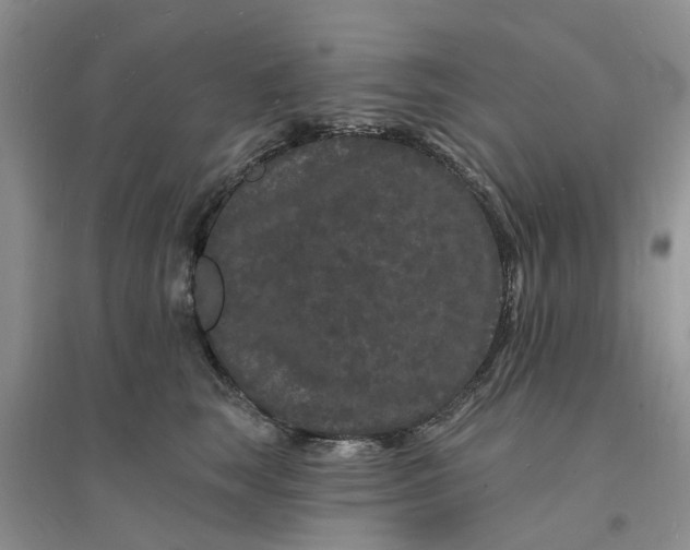 X0000096390663200802071538