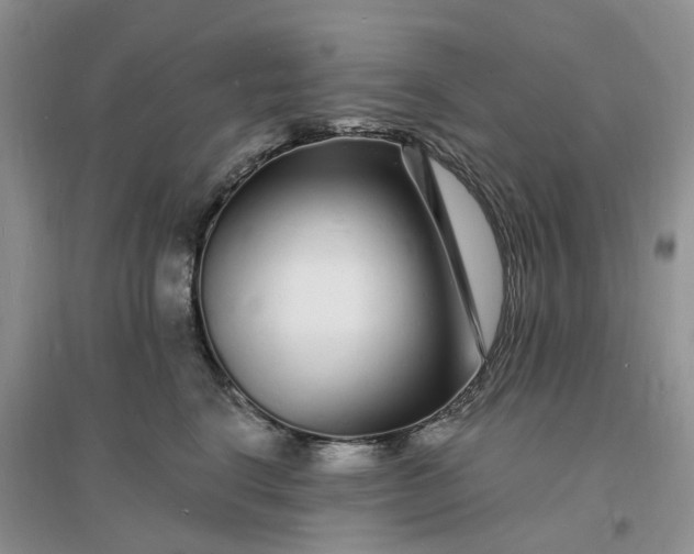 X0000096390664200802071538