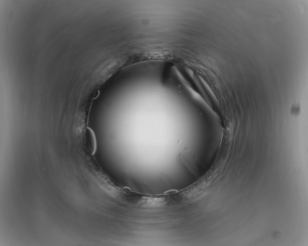 X0000096390665200802071538