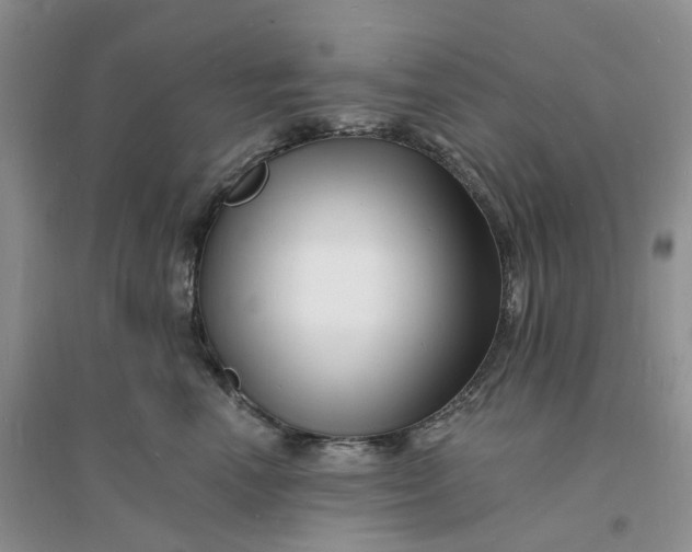 X0000096390666200802071538