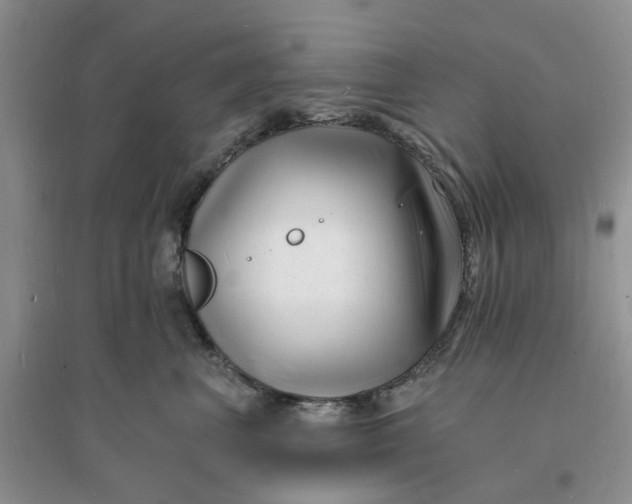 X0000096390667200802071538