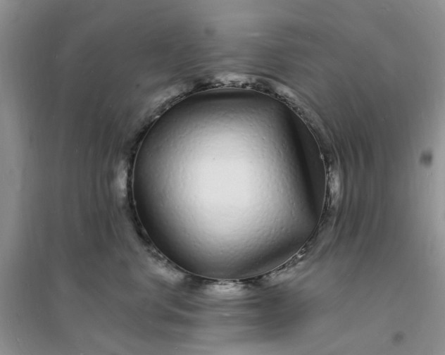 X0000096390668200802071538