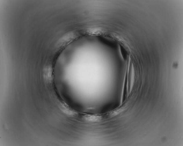 X0000096390670200802071538