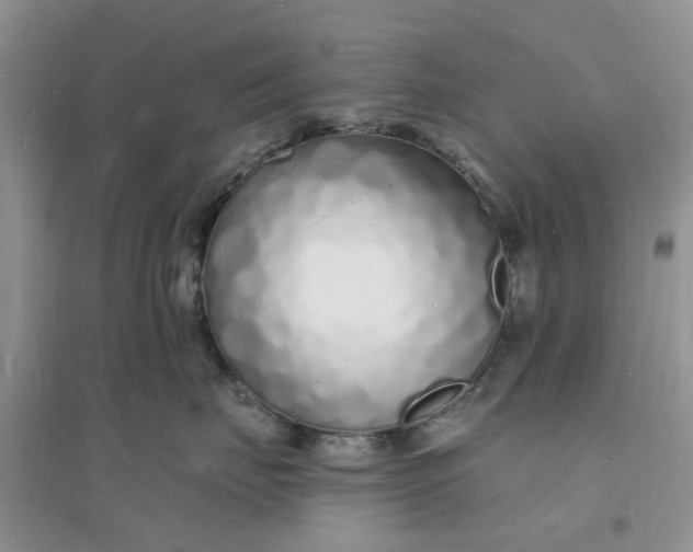 X0000096390671200802071538