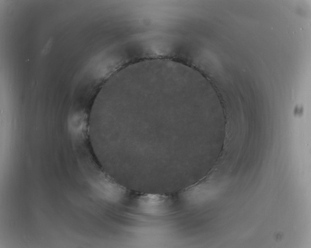 X0000096390672200802071538