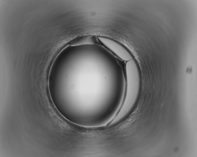 X0000096390673200802071537