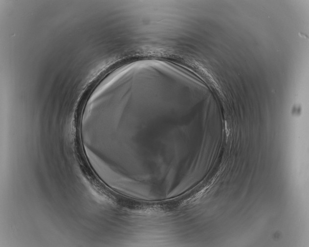 X0000096390674200802071537