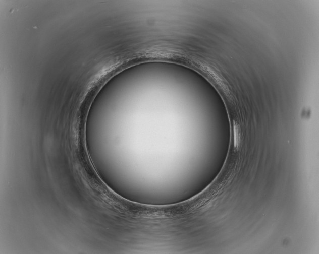 X0000096390675200802071537