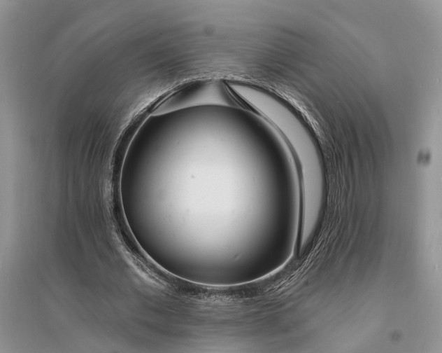 X0000096390677200802071537