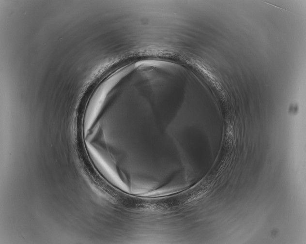 X0000096390678200802071537