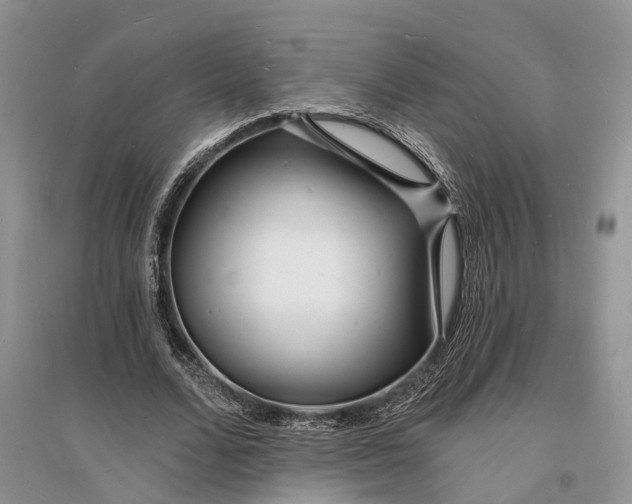 X0000096390680200802071537