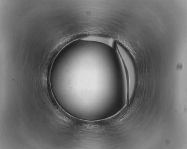 X0000096390681200802071537