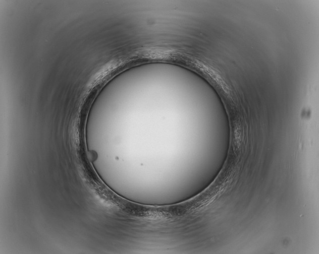 X0000096390682200802071537