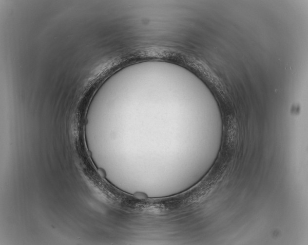 X0000096390683200802071537