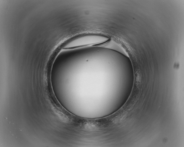 X0000096390684200802071537