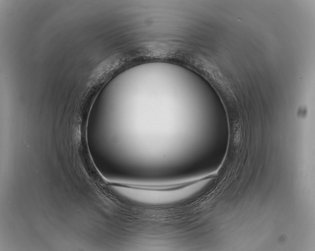 X0000096390685200802071537
