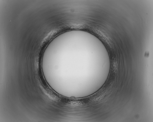 X0000096390686200802071537