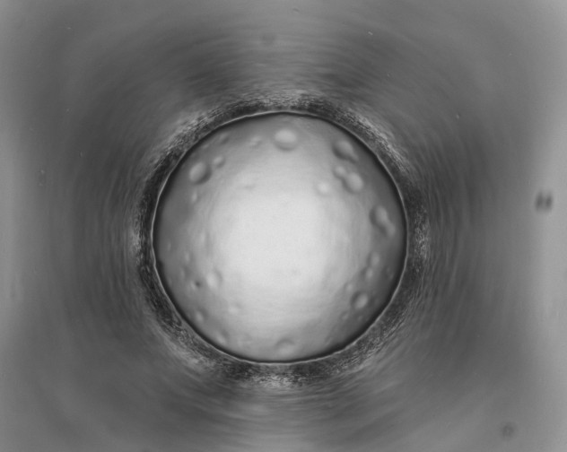 X0000096390687200802071537