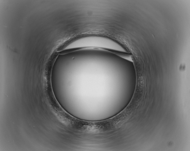 X0000096390688200802071537