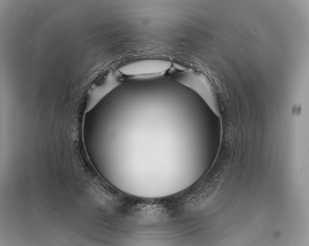 X0000096390689200802071537