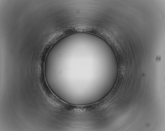 X0000096390690200802071537